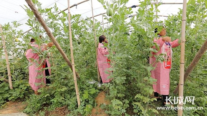 快速了解河北恒鼎源木酒桶厂 视频介绍